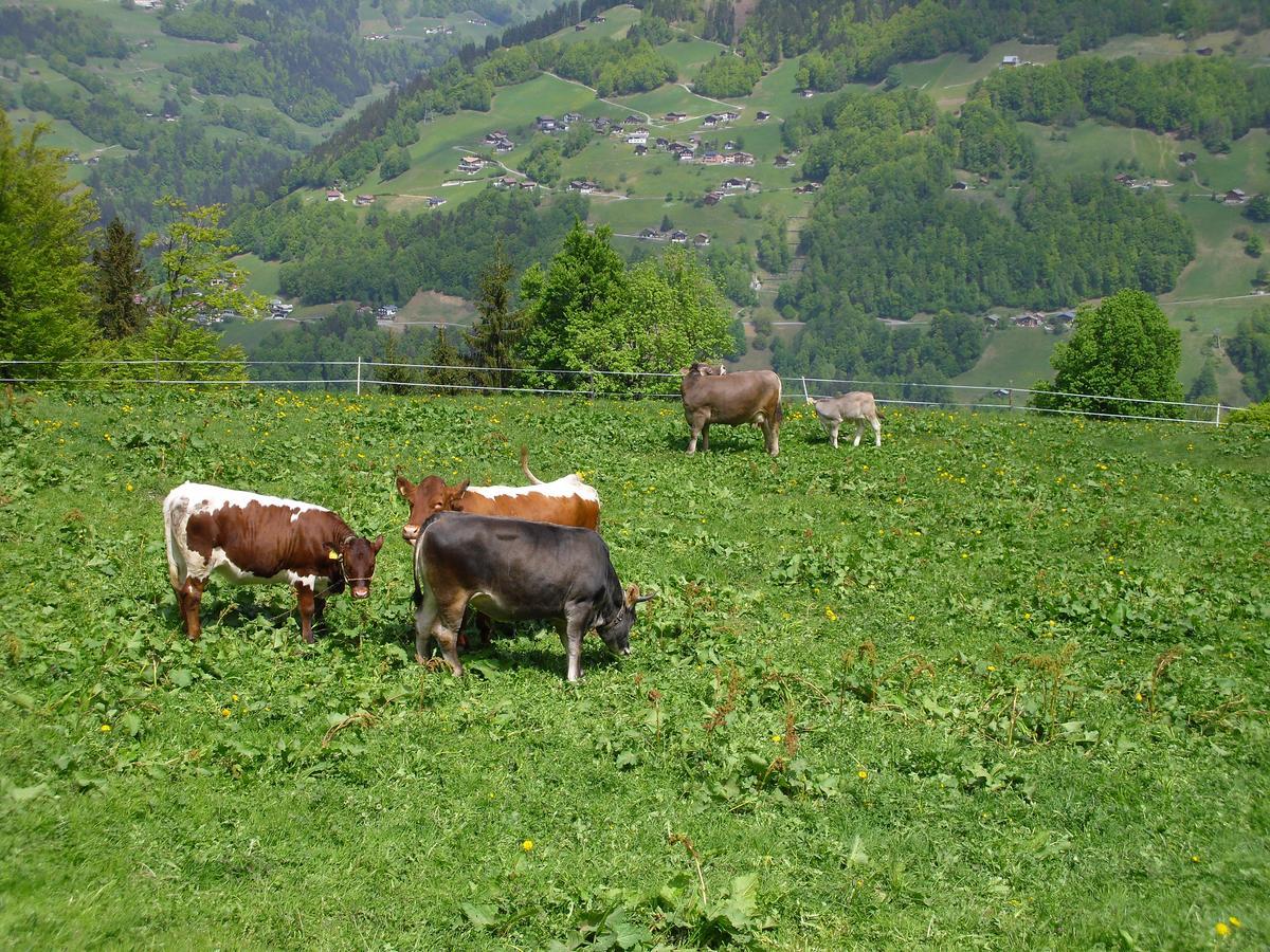 Maisaess Lifinarblick Villa Schruns Dış mekan fotoğraf